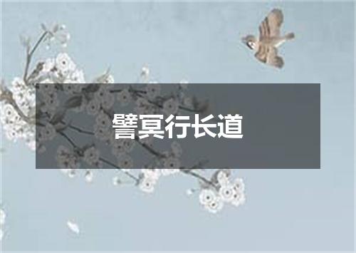 譬冥行长道