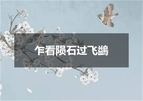 乍看陨石过飞鷁