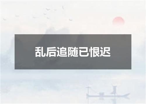 乱后追随已恨迟