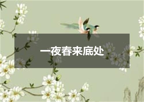 一夜春来底处