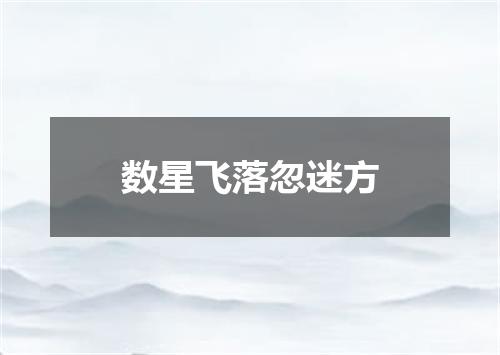 数星飞落忽迷方