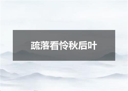 疏落看怜秋后叶
