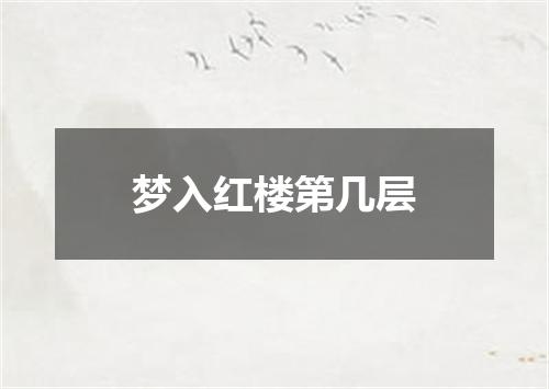 梦入红楼第几层