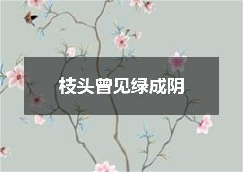 枝头曾见绿成阴
