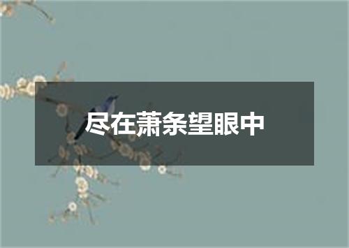 尽在萧条望眼中