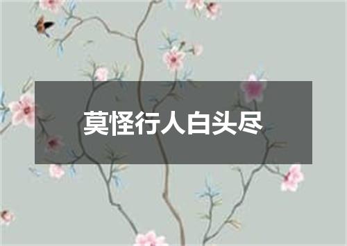莫怪行人白头尽