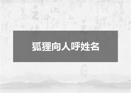 狐狸向人呼姓名
