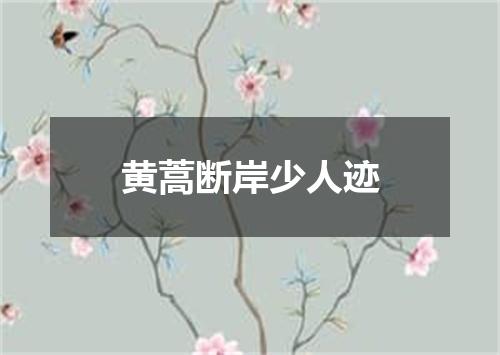 黄蒿断岸少人迹