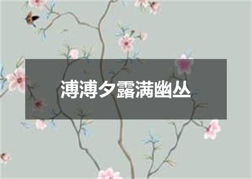 溥溥夕露满幽丛