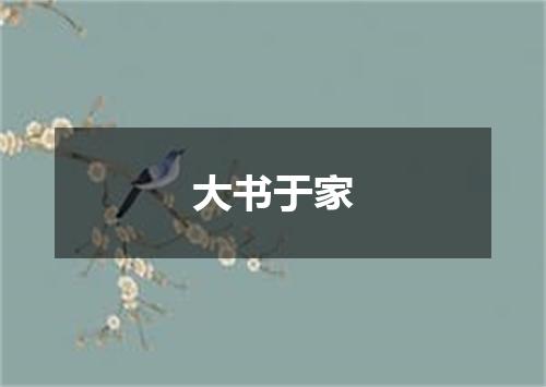 大书于家