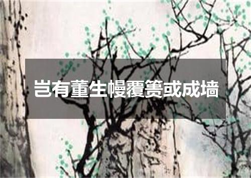 岂有董生幔覆篑或成墙