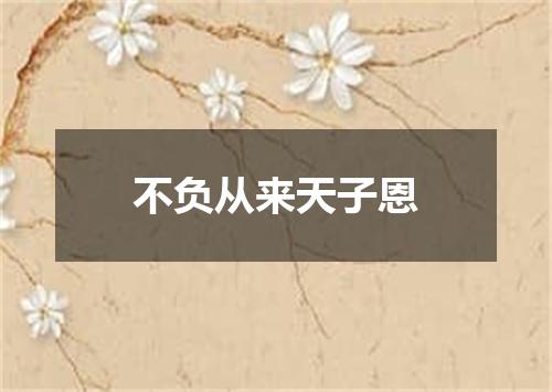 不负从来天子恩
