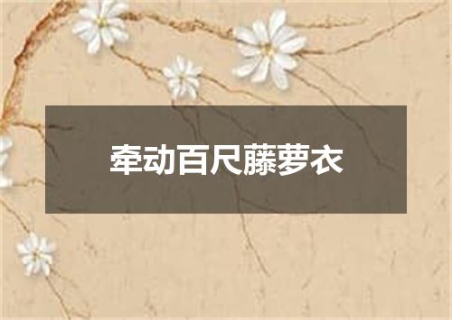 牵动百尺藤萝衣