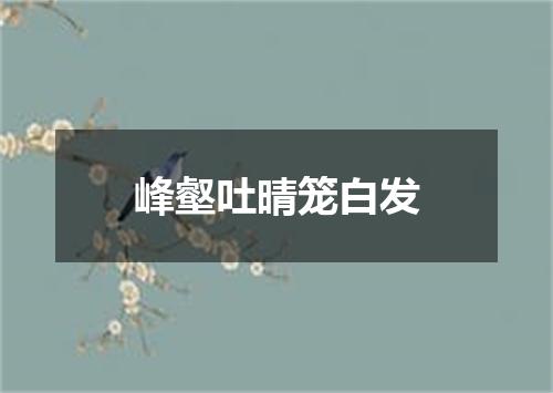 峰壑吐晴笼白发