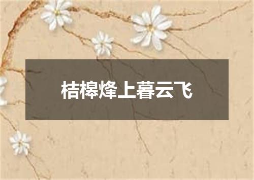 桔槔烽上暮云飞