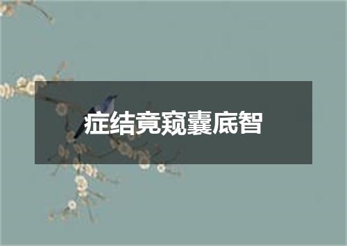 症结竟窥囊底智