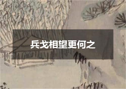 兵戈相望更何之
