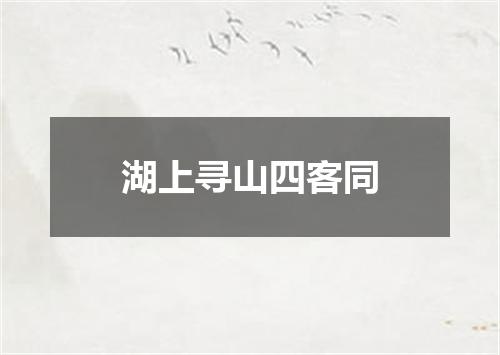 湖上寻山四客同
