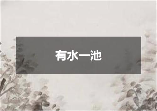 有水一池
