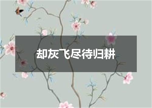 却灰飞尽待归耕