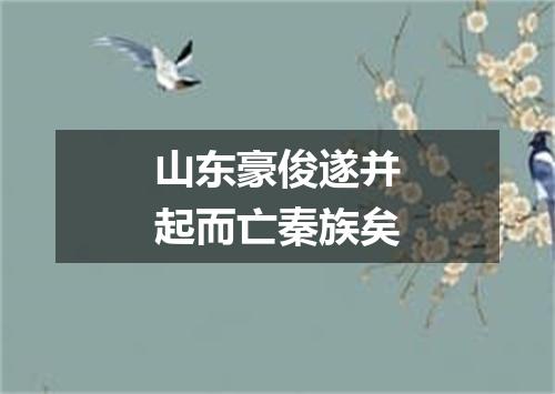 山东豪俊遂并起而亡秦族矣