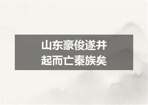 山东豪俊遂并起而亡秦族矣