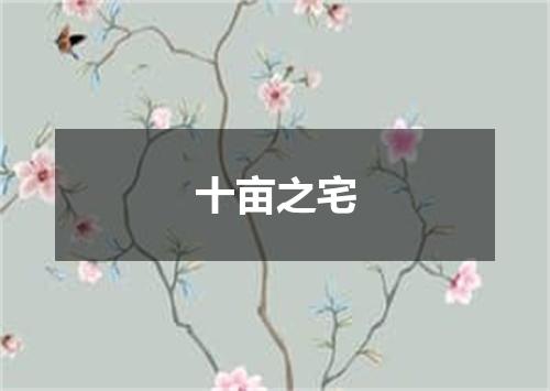 十亩之宅