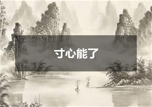寸心能了