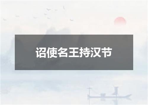 诏使名王持汉节