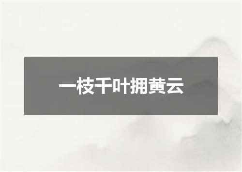 一枝千叶拥黄云