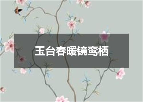 玉台春暖镜鸾栖