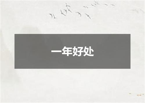 一年好处