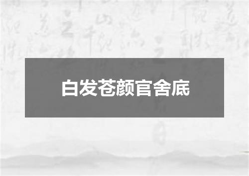 白发苍颜官舍底