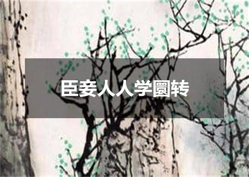 臣妾人人学圜转