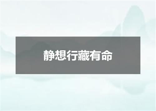 静想行藏有命