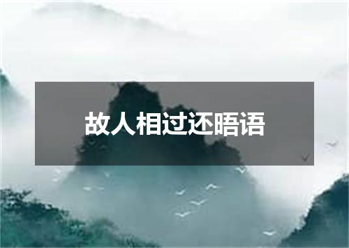 故人相过还晤语