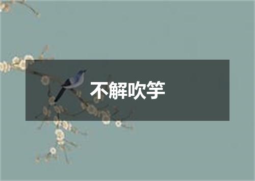 不解吹竽