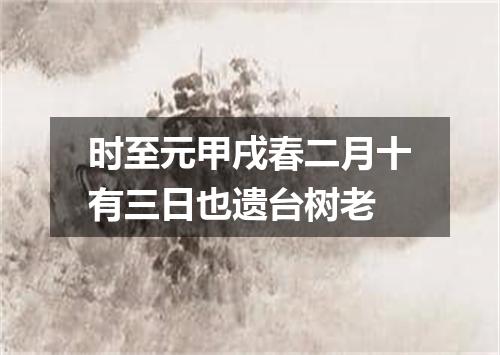 时至元甲戌春二月十有三日也遗台树老