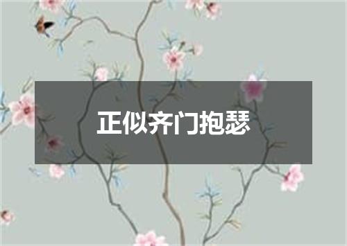 正似齐门抱瑟