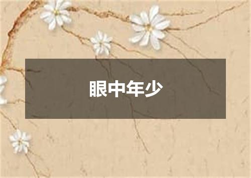 眼中年少