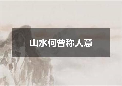 山水何曾称人意