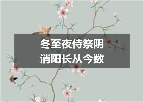 冬至夜侍祭阴消阳长从今数