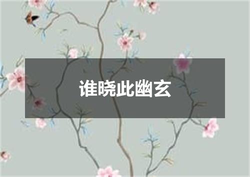 谁晓此幽玄