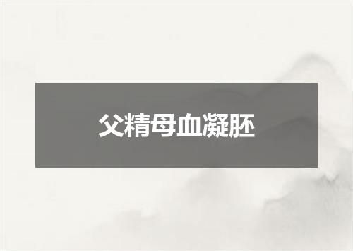 父精母血凝胚