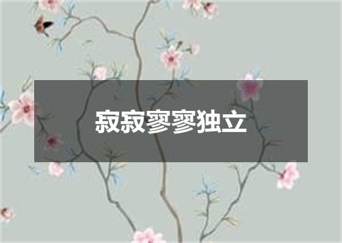 寂寂寥寥独立
