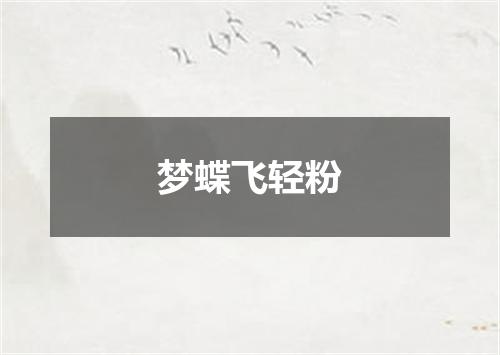 梦蝶飞轻粉