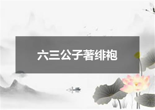 六三公子著绯袍