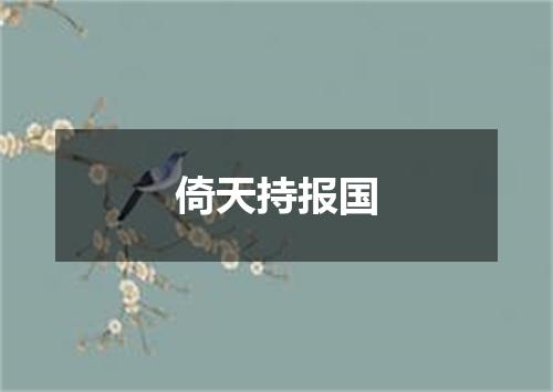倚天持报国