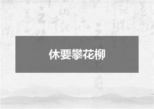 休要攀花柳