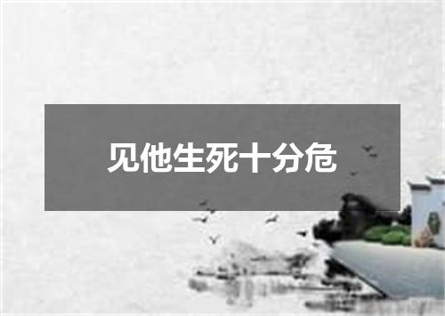 见他生死十分危